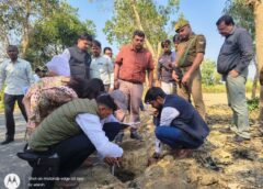 Sitapur Uttar Pradesh: सीतापुर: जिलाधिकारी का ताबड़तोड़ निरीक्षण, निर्माण गुणवत्ता पर कसा शिकंजा