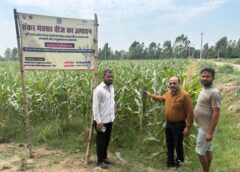 Barabanki UP: बाराबंकी: संकर मक्का बीज उत्पादन कार्यक्रम का सफल आयोजन
