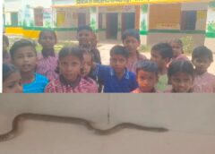 Raybareli news: प्राथमिक विद्यालय में निकला सर्प, बच्चों और शिक्षकों में मचा हड़कंप