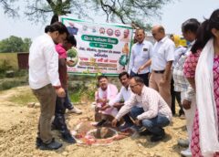Raybareli News: विश्व पर्यावरण दिवस पर गूंजा हरियाली का संदेश: ‘एक पेड़ मां के नाम’ अभियान के तहत हुआ वृक्षारोपण